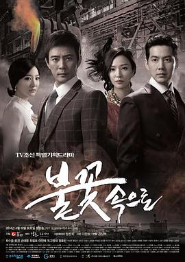 海曙seo优化要多少钱